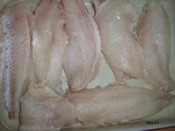 DORADE IN LUNA'S FEINER KÜRBISSAUCE - Rezept - Bild Nr. 5