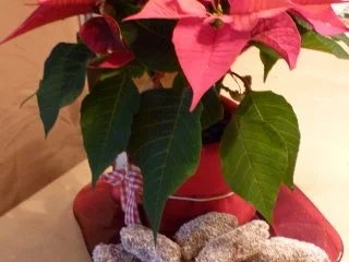 Kokosstangerl - Rezept