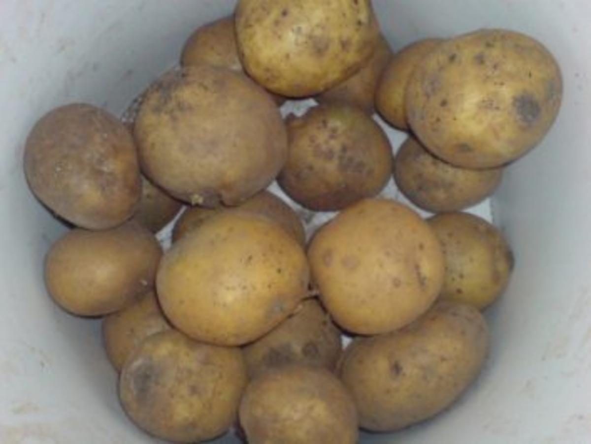Zucchini-Kartoffelpuffer - Rezept - Bild Nr. 4