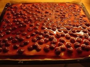 Kirsch-Schmand-Kuchen vom Blech - Rezept