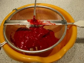 Mango Panna Cotta an Himbeerschaum - Rezept - Bild Nr. 3