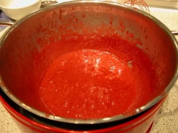 Mango Panna Cotta an Himbeerschaum - Rezept - Bild Nr. 4