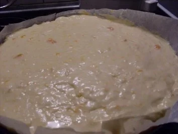 Rezept: Hell - Dunkel - Torte mit Mandarinencreme Bild Nr. 15 Hell - Dunkel - Torte mit Mandarinencreme - Rezept - Bild Nr. 15