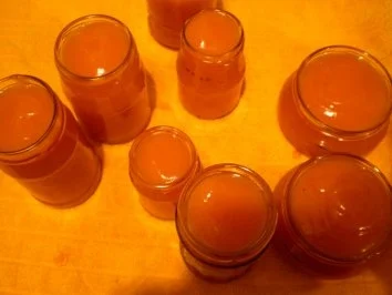 Rezept: Quittenmarmelade Bild Nr. 5 Quittenmarmelade - Rezept - Bild Nr. 5