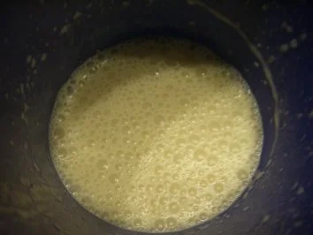 Garnelen im Kokosschaum - Rezept - Bild Nr. 3