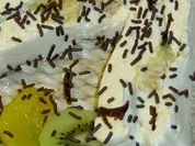 Orangencreme - Rezept