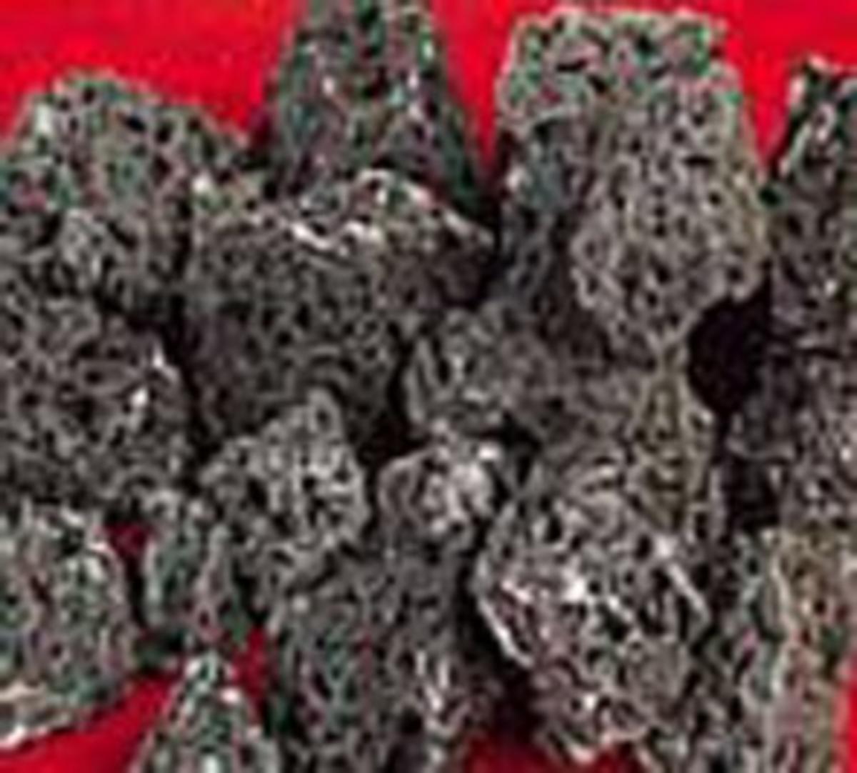 dessert carbone dolce - Rezept mit Bild - kochbar.de