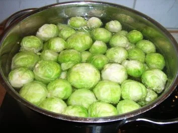 Rosenkohl-Fisch-Lasagne - Rezept - Bild Nr. 2