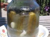 Salz Dill Gurken in Sauerkirschblätter gegärt - Rezept