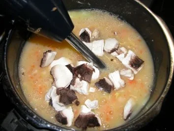 Rezept: Das schnelle Süppchen ohne Kochen oder "Der Zauberstab im Einsatz" Bild Nr. 4 Das schnelle Süppchen ohne Kochen oder "Der Zauberstab im Einsatz" - Rezept - Bild Nr. 4