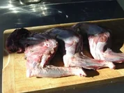 Rehragout "Tirolesi" - Rezept