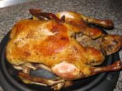 Heute gabs mal wieder Ente... - Rezept