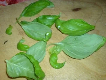 Schweinemedaillons - Rezept - Bild Nr. 11