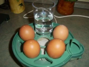 Rezept: Eier-Specksalat mit Gouda und Estragon Bild Nr. 3 Eier-Specksalat mit Gouda und Estragon - Rezept - Bild Nr. 3