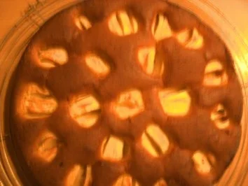 Backen: Versunkener Apfelkuchen - Rezept - Bild Nr. 3