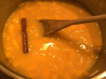 Fleisch: Schweinemedaillons in Mango-Zimt-Soße - Rezept - Bild Nr. 3