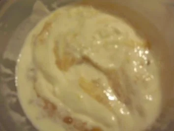 Apfel-Zimt-Joghurt - Rezept