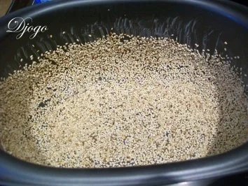 Rezept: Maismehl - Buttermilch Brot Bild Nr. 2 Maismehl - Buttermilch Brot - Rezept - Bild Nr. 2