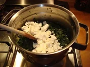 Spinattorte - Rezept