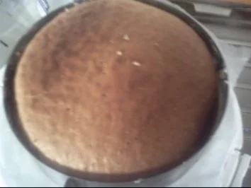 Torten: Kokos-Sahne-Kuppel - Rezept - Bild Nr. 3