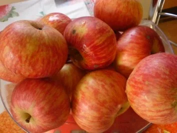 Apfeldessert mit Vanillesoße - Rezept - Bild Nr. 7