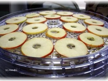 Dörren - Apfelchips - Rezept - Bild Nr. 3