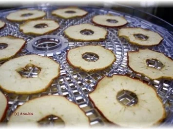 Dörren - Apfelchips - Rezept - Bild Nr. 4