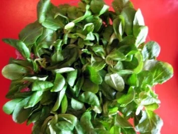 Chamignon - Rapunzelsalat - Rezept - Bild Nr. 2