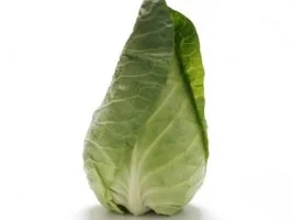 Krautwickel vom Filderspitzkraut - Rezept - Bild Nr. 4