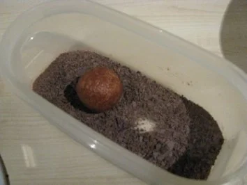 Rezept: Rumkugeln Bild Nr. 9 Rumkugeln - Rezept - Bild Nr. 9