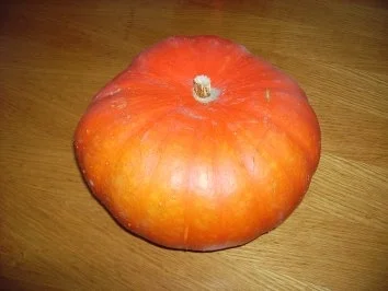 Nudeln mit Kürbis - Rezept