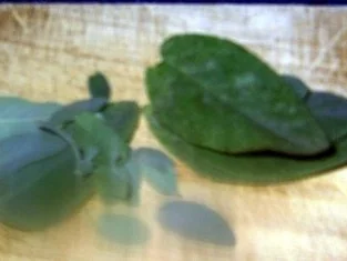 Salbeibutter - Rezept