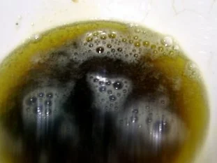 Salbeibutter - Rezept - Bild Nr. 3