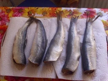 romanticas rezept von Salzhering sauer eingelegt schmeckt super lecker - Rezept - Bild Nr. 2