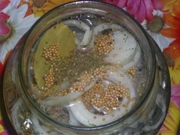 romanticas rezept von Salzhering sauer eingelegt schmeckt super lecker - Rezept - Bild Nr. 6