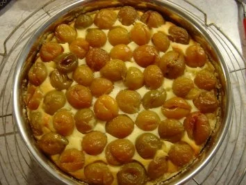 Rezept: Marzipan-Quarkkuchen mit Mirabellen, Singlekuchen kleinste Form...(20 cm Durchmesser) Bild Nr. 6 Marzipan-Quarkkuchen mit Mirabellen, Singlekuchen kleinste Form...(20 cm Durchmesser) - Rezept - Bild Nr. 6