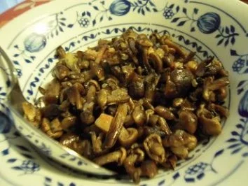 Sauerbraten mit Semmelknödeln und Hallimasch - Rezept - Bild Nr. 10