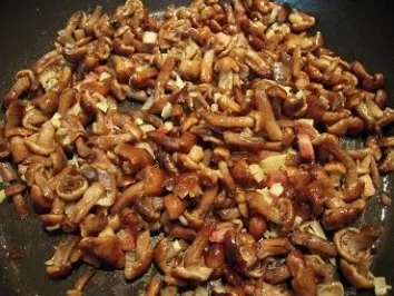 Rezept: Hallimasch Bild Nr. 2 Hallimasch - Rezept - Bild Nr. 2