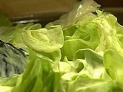 Kopfsalat mit Orangendressing - Rezept