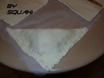 Rezept: Mexikanische Blätterteigtaschen Bild Nr. 7 Mexikanische Blätterteigtaschen - Rezept - Bild Nr. 7