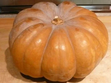 Marmelade - Kürbis in 3 Varianten - Rezept - Bild Nr. 5