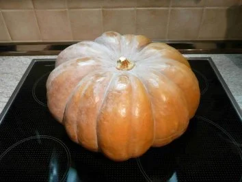 Marmelade - Kürbis in 3 Varianten - Rezept - Bild Nr. 6