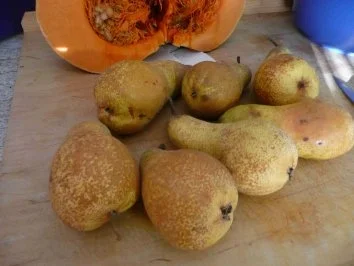 Marmelade - Kürbis in 3 Varianten - Rezept - Bild Nr. 8