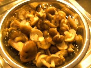 Verschiedenes: Hallimasch-Pfanne - Rezept - Bild Nr. 3