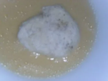 Rezept: Panierte Mozzarella-Medaillons auf Salat Bild Nr. 4 Panierte Mozzarella-Medaillons auf Salat - Rezept - Bild Nr. 4