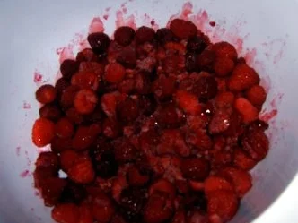 Rezept: Himbeer-Limetten-Terrine mit Schokoladensoße Bild Nr. 5 Himbeer-Limetten-Terrine mit Schokoladensoße - Rezept - Bild Nr. 5