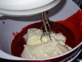 Rezept: Himbeer-Limetten-Terrine mit Schokoladensoße Bild Nr. 8 Himbeer-Limetten-Terrine mit Schokoladensoße - Rezept - Bild Nr. 8