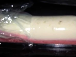 Rezept: Himbeer-Limetten-Terrine mit Schokoladensoße Bild Nr. 11 Himbeer-Limetten-Terrine mit Schokoladensoße - Rezept - Bild Nr. 11