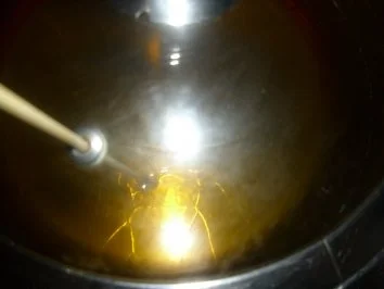 Gefüllte Hähnchenbrust mit Kroketten - Rezept - Bild Nr. 8