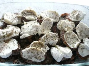 Rezept: Schweinefilet gratiniert Bild Nr. 3 Schweinefilet gratiniert - Rezept - Bild Nr. 3